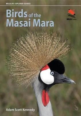 Birds of the Masai Mara - Adam Scott Kennedy - cover