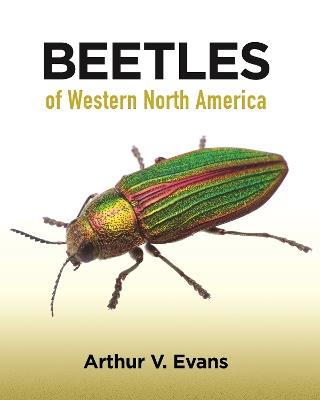 Beetles of Western North America - Arthur V. Evans - cover