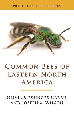 Common Bees of Eastern North America - Olivia Messinger Carril,Joseph S. Wilson - cover