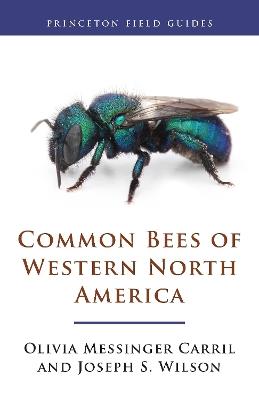 Common Bees of Western North America - Olivia Messinger Carril,Joseph S. Wilson - cover
