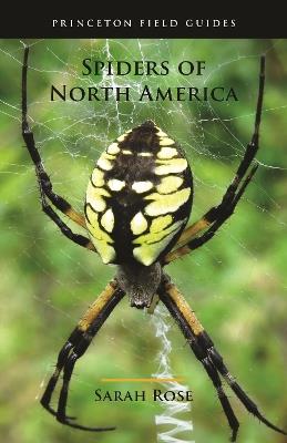 Spiders of North America - Sarah Rose - cover