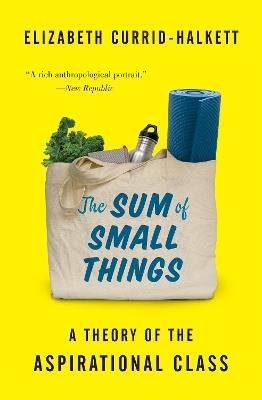 The Sum of Small Things: A Theory of the Aspirational Class - Elizabeth Currid-Halkett - cover