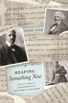 Reaping Something New: African American Transformations of Victorian Literature - Daniel Hack - cover