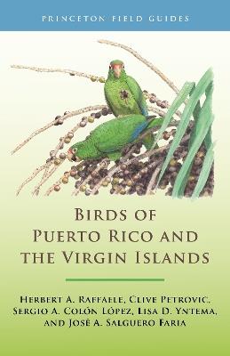 Birds of Puerto Rico and the Virgin Islands: Fully Revised and Updated Third Edition - Herbert A. Raffaele,Clive Petrovic,Sergio A. Colon Lopez - cover