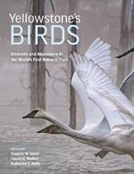 Yellowstone’s Birds: Diversity and Abundance in the World’s First National Park