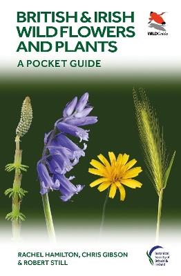 British and Irish Wild Flowers and Plants: A Pocket Guide - Rachel Hamilton,Chris Gibson,Robert Still - cover