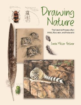 Drawing Nature: The Creative Process of an Artist, Illustrator, and Naturalist - Linda Miller Feltner - cover