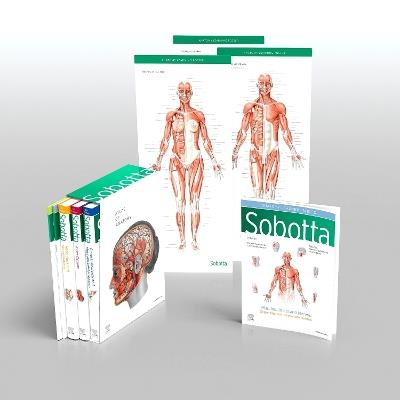 Sobotta Atlas of Anatomy, Package, 17th ed., English/Latin: General Anatomy and Musculoskeletal System; Internal Organs; Head, Neck and Neuroanatomy; Muscles Tables; Poster Collection - Friedrich Paulsen,Jens Waschke - cover