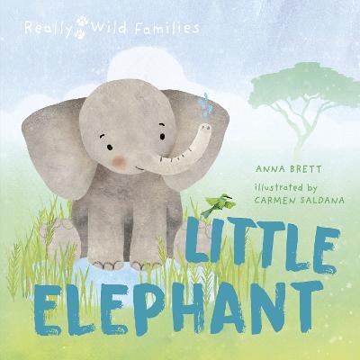Little Elephant: A Day in the Life of a Elephant Calf - Anna Brett - cover