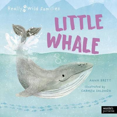 Little Whale: A Day in the Life of a Little Whale - Anna Brett - cover
