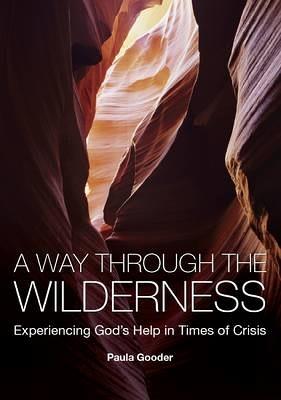 A Way Through the Wilderness: Experiencing God's Help in Times of Crisis - Paula Gooder - cover