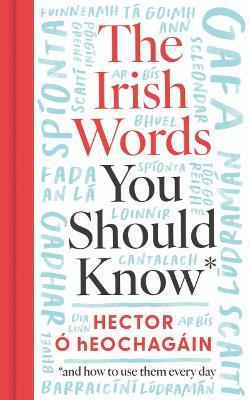 The Irish Words You Should Know: and how to start using them again - Hector Ó hEochagáin - cover