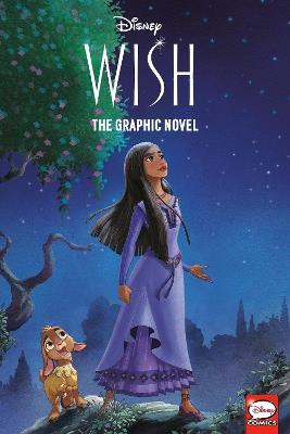 Disney Wish: The Graphic Novel - RH Disney - cover
