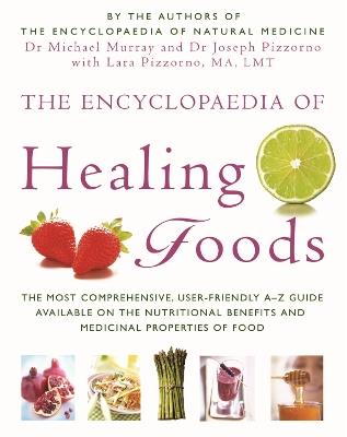 The Encyclopaedia Of Healing Foods - Michael Murray,Joseph E. Pizzorno,Lara U. Pizzorno - cover