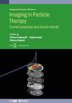 Imaging in Particle Therapy: Current practice and future trends