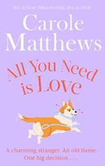 All You Need is Love: The uplifting romance from the Sunday Times bestseller
