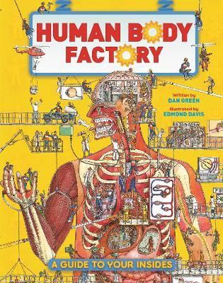 The Human Body Factory: A Guide To Your Insides - Dan Green - cover