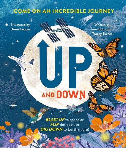 Up and Down - Jane Burnard,Tracey Turner - ebook