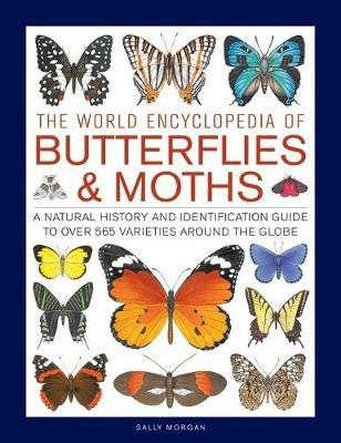 Butterflies & Moths, The World Encyclopedia of: A natural history and identification guide to over 565 varieties around the globe - Sally Morgan - cover