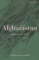 The Spectre of Afghanistan: Security in Central Asia