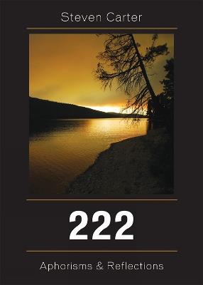 222: Aphorisms & Reflections - Steven Carter - cover