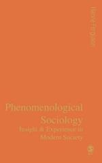 Phenomenological Sociology: Experience and Insight in Modern Society