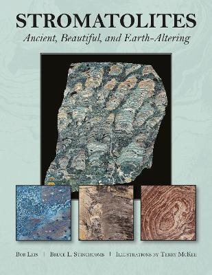 Stromatolites: Ancient, Beautiful, and Earth-Altering - Bruce L. Stinchcomb,R. J. Leis - cover