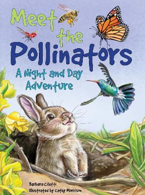 Meet the Pollinators: A Night and Day Adventure - Barbara Ciletti - cover