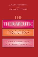 The Therapeutic Process: A Clinical Introduction to Psychodynamic Psychotherapy