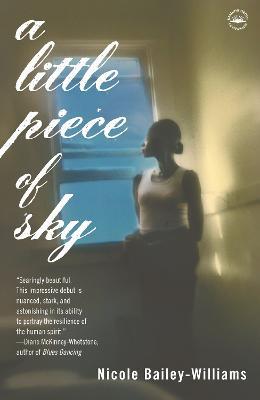 A Little Piece of Sky: A Novel - Nicole Bailey Williams - cover