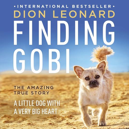 Finding Gobi