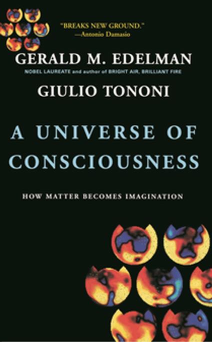 A Universe Of Consciousness