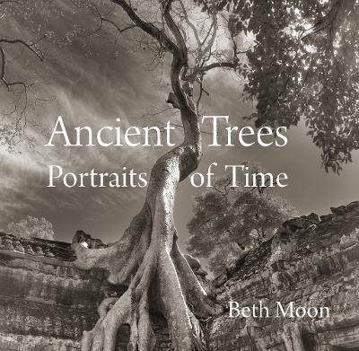 Ancient Trees: Portraits of Time - Beth Moon - cover