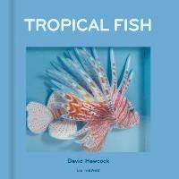 Tropical Fish - David Hawcock - cover