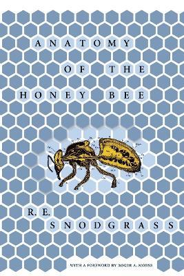 Anatomy of the Honey Bee - R. E. Snodgrass - cover