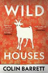 Libro in inglese Wild Houses Colin Barrett