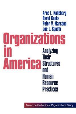 Organizations in America: Analysing Their Structures and Human Resource Practices - cover
