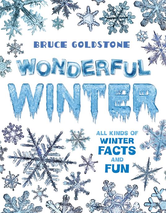 Wonderful Winter - Bruce Goldstone - ebook