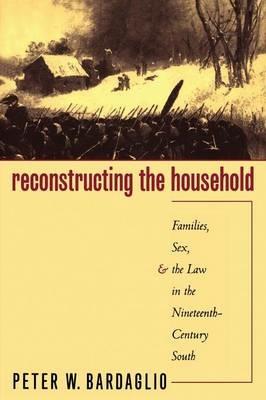 Reconstructing the Household: Families, Sex, and the Law in the Nineteenth-Century South - Peter W. Bardaglio - cover