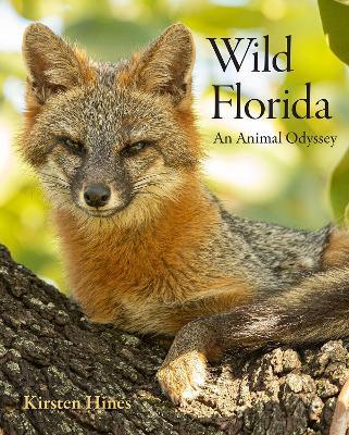 Wild Florida: An Animal Odyssey - Kirsten Hines - cover