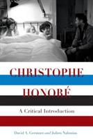 Christophe Honore: A Critical Introduction