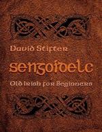 Sengoidelc: Old Irish for Beginners