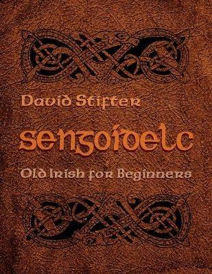 Sengoidelc: Old Irish for Beginners - David Stifter - cover