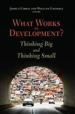 What Works in Development?: Thinking Big and Thinking Small