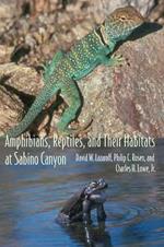 Amphibians, Reptiles, and Their Habitats at Sabino Canyon