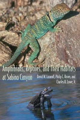 Amphibians, Reptiles, and Their Habitats at Sabino Canyon - David W. Lazaroff,Philip C. Rosen,Charles H. Jr. Lowe - cover