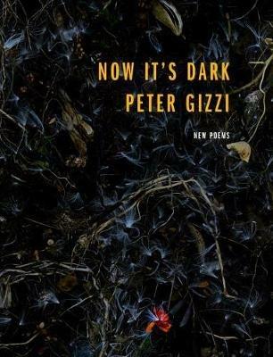 Now It's Dark - Peter Gizzi - cover