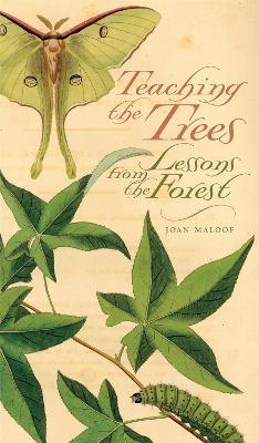 Teaching the Trees: Lessons from the Forest - Joan Maloof - cover