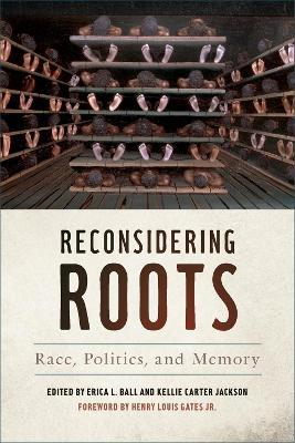 Reconsidering Roots: Race, Politics, and Memory - cover