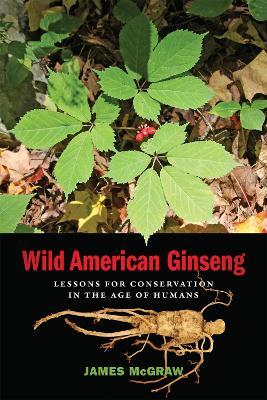 Wild American Ginseng: Lessons for Conservation in the Age of Humans - James McGraw - cover